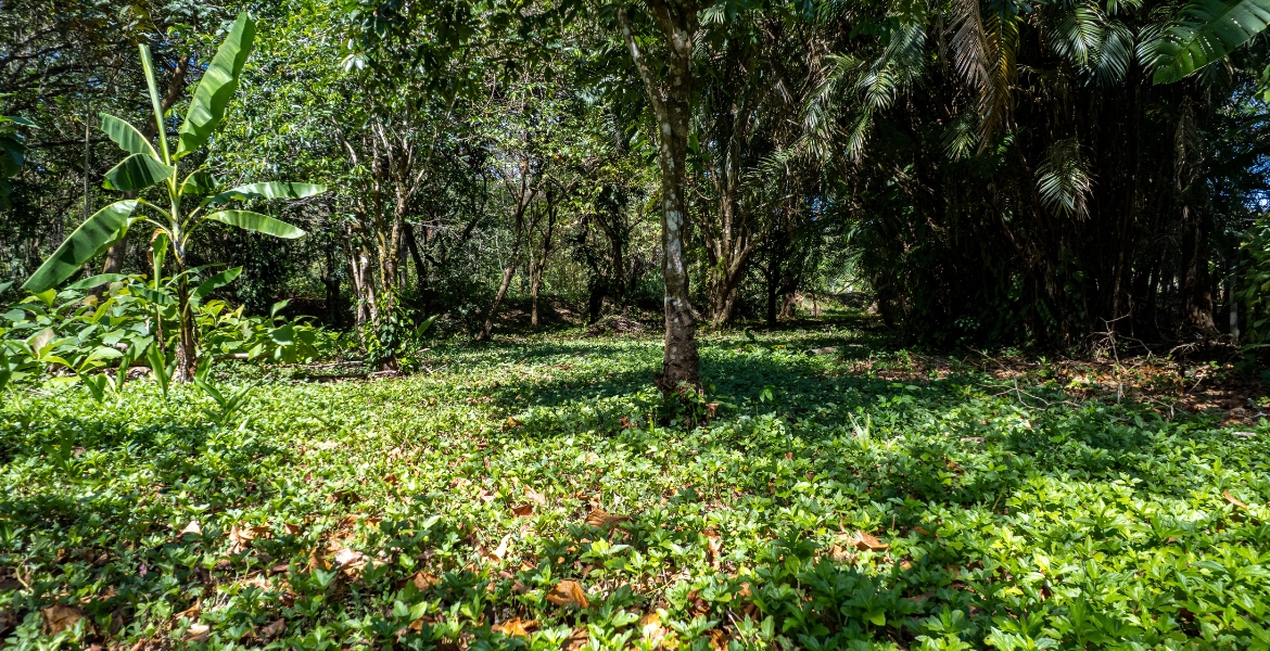 0 bed Land For Sale in Cabuya, Puntarenas - thumb 18