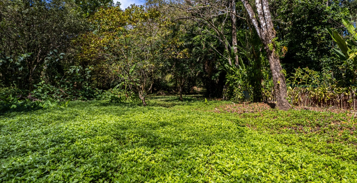 0 bed Land For Sale in Cabuya, Puntarenas - thumb 19
