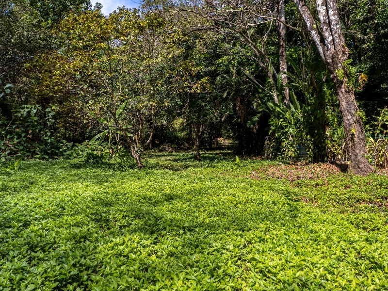 0 bed Land For Sale in Cabuya, Puntarenas - hero 19