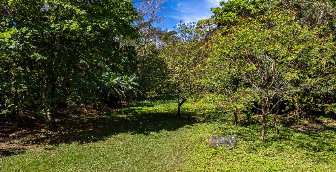 0 bed Land For Sale in Cabuya, Puntarenas - thumb 21