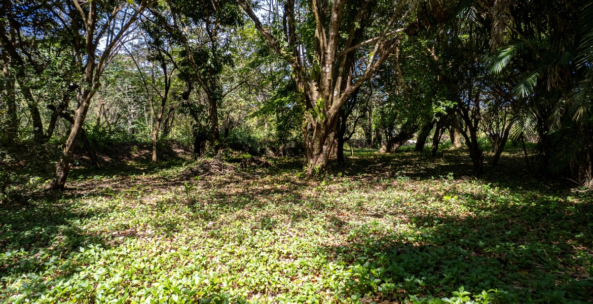 0 bed Land For Sale in Cabuya, Puntarenas - thumb 17