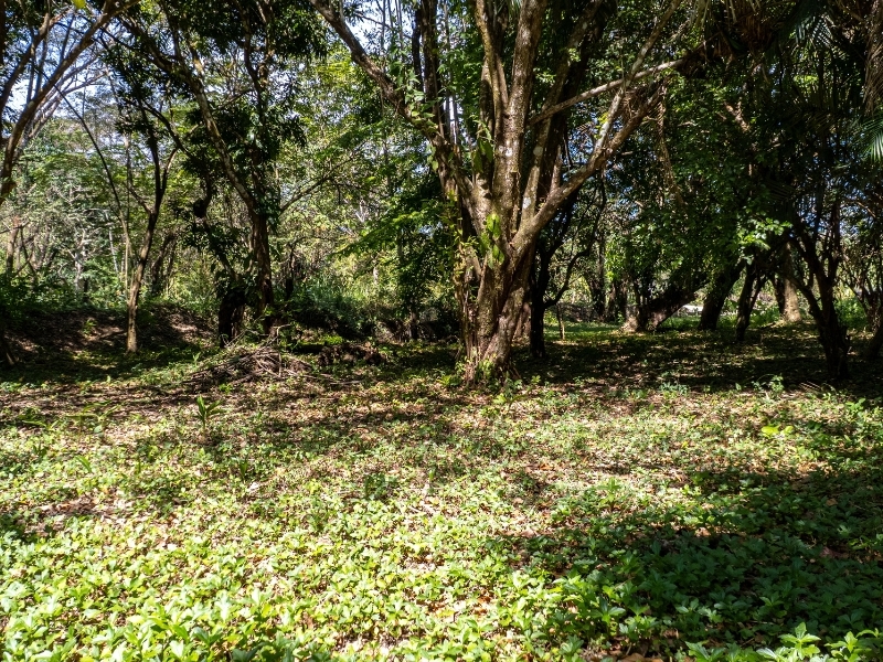 0 bed Land For Sale in Cabuya, Puntarenas - hero 17