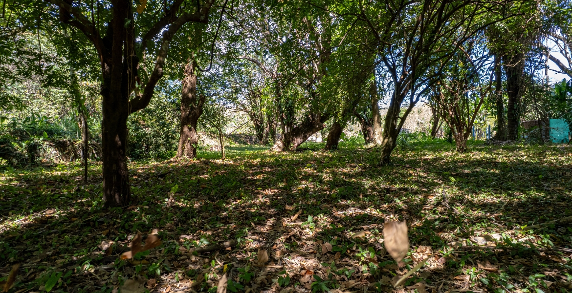 0 bed Land For Sale in Cabuya, Puntarenas - thumb 16