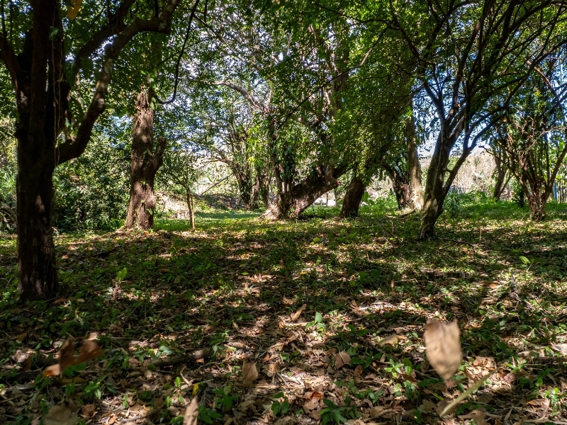 0 bed Land For Sale in Cabuya, Puntarenas - hero 16