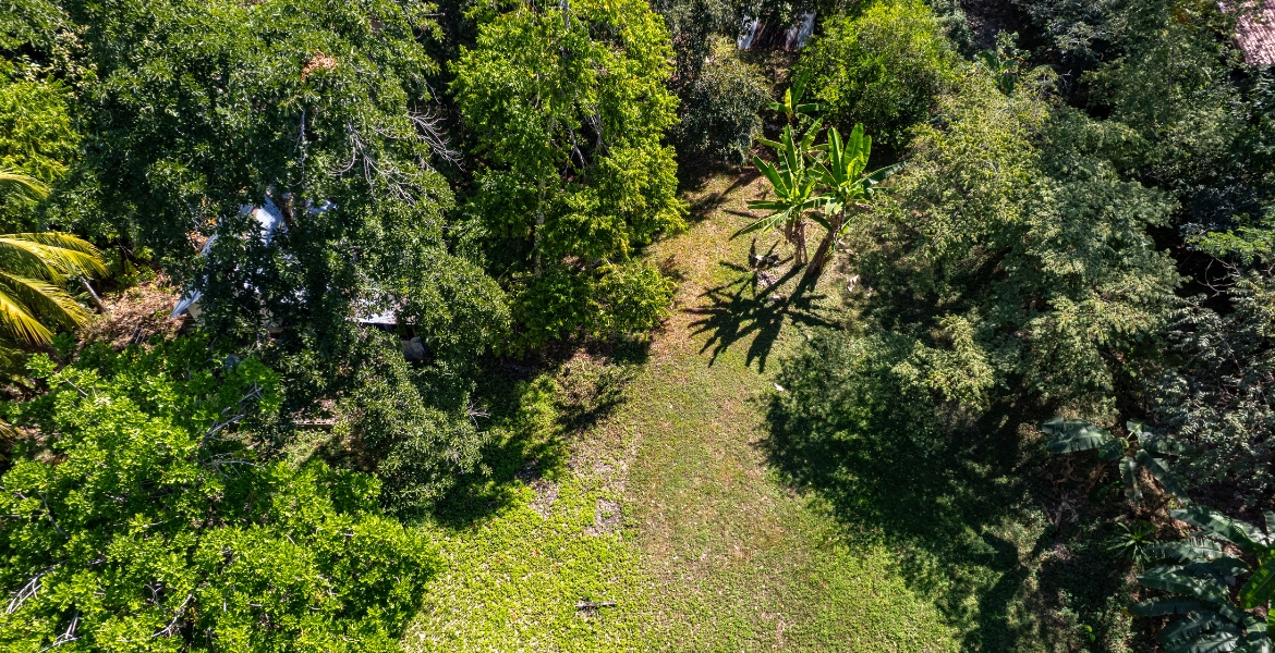 0 bed Land For Sale in Cabuya, Puntarenas - thumb 22