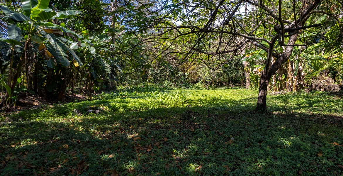 0 bed Land For Sale in Cabuya, Puntarenas - thumb 20