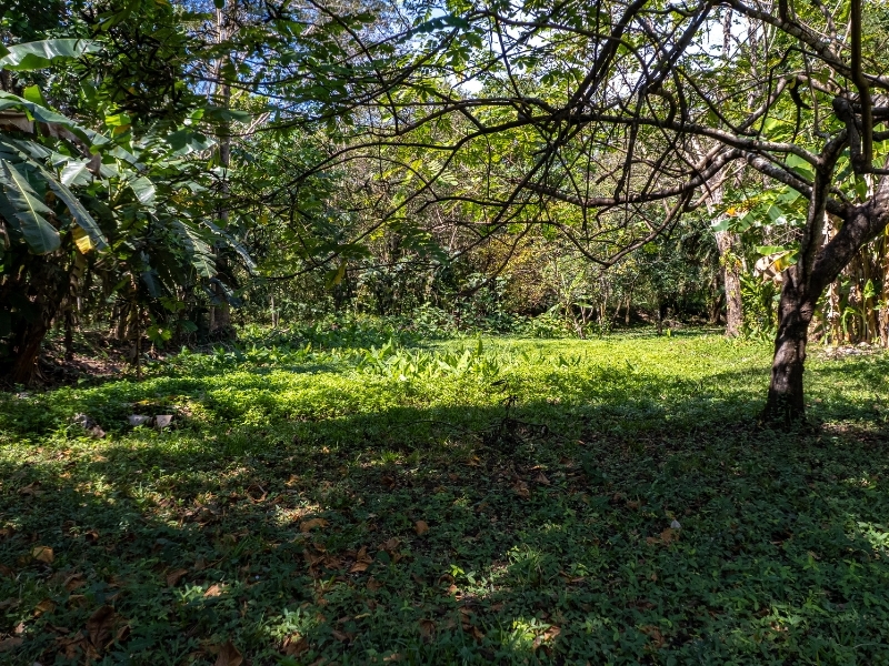 0 bed Land For Sale in Cabuya, Puntarenas - hero 20