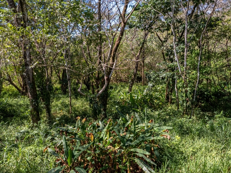 0 bed Land For Sale in Cabuya, Puntarenas - hero 12