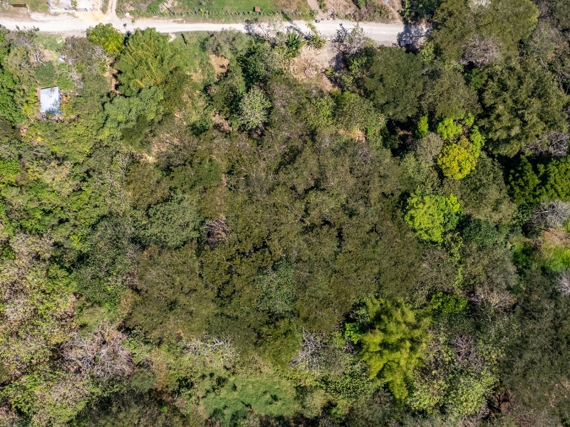 0 bed Land For Sale in Cabuya, Puntarenas - hero 10