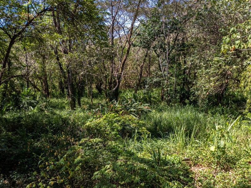 0 bed Land For Sale in Cabuya, Puntarenas - hero 14