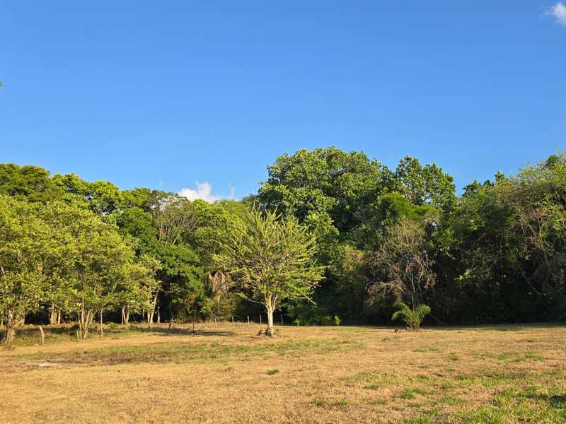 0 bed Land For Sale in Atenas, Alajuela - hero 4