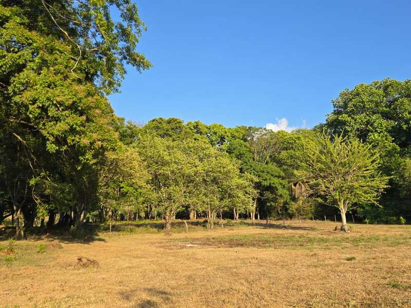 0 bed Land For Sale in Atenas, Alajuela - hero 3