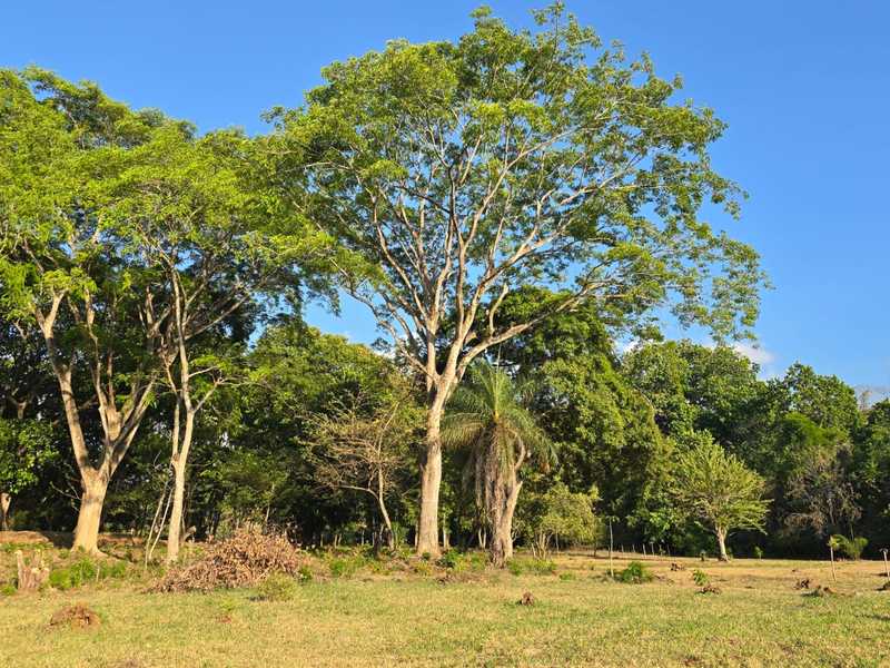 0 bed Land For Sale in Atenas, Alajuela - hero 9