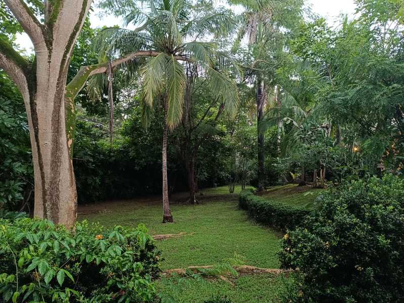 3 bed Single Family Homes For Sale in Tamarindo, Guanacaste - hero 13
