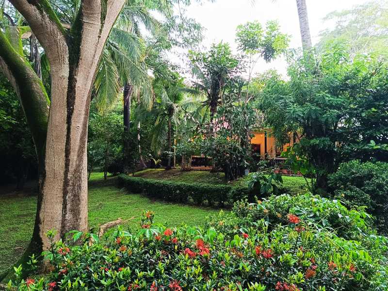 3 bed Single Family Homes For Sale in Tamarindo, Guanacaste - hero 2