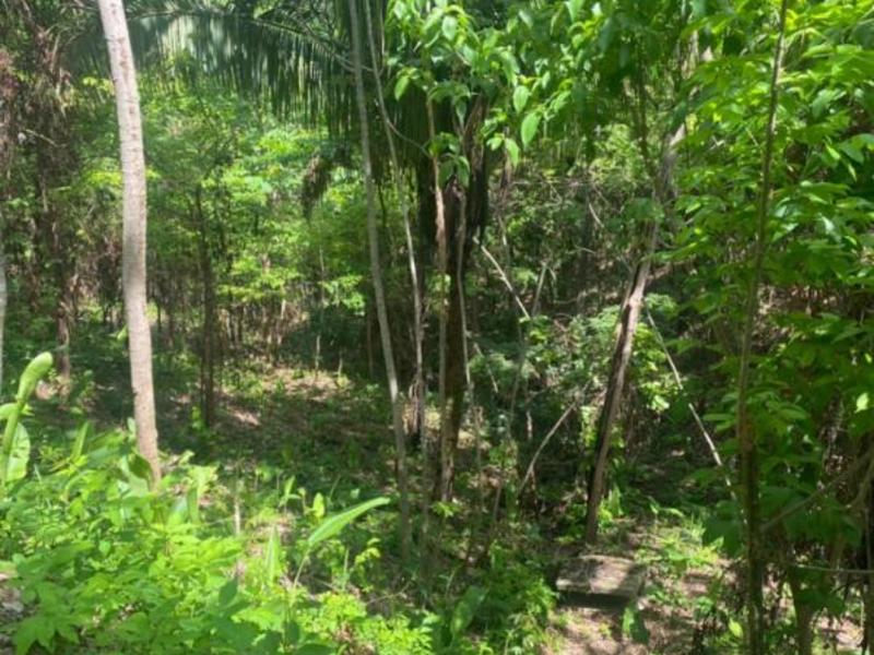 0 bed Land For Sale in Samara, Guanacaste - hero 5