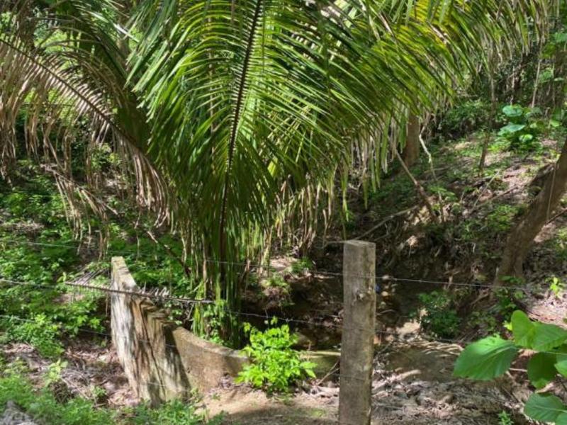 0 bed Land For Sale in Samara, Guanacaste - hero 2