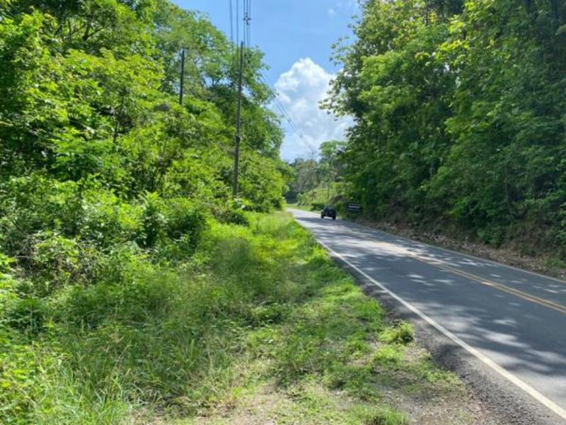 0 bed Land For Sale in Samara, Guanacaste - 1