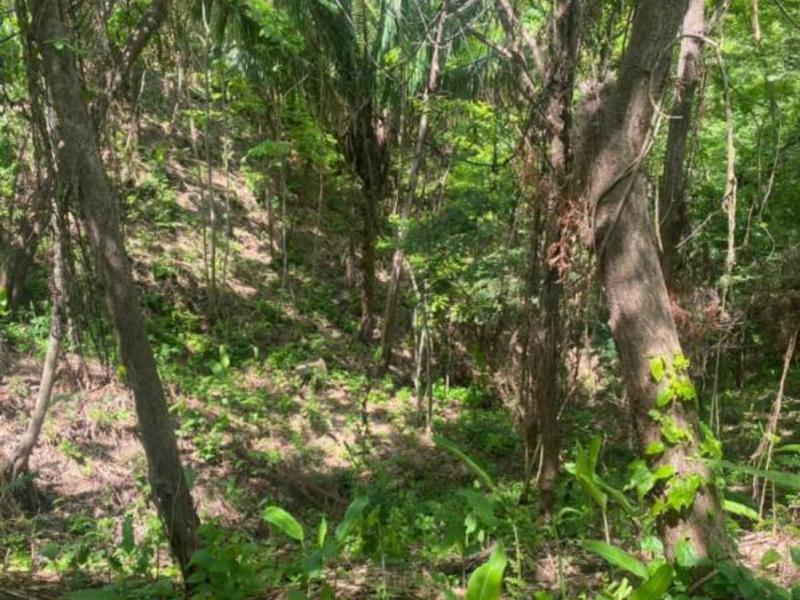 0 bed Land For Sale in Samara, Guanacaste - hero 8