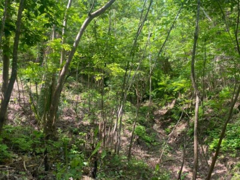 0 bed Land For Sale in Samara, Guanacaste - hero 6