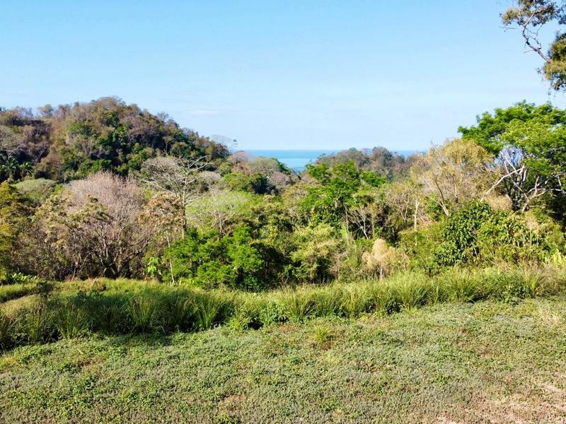 0 bed Land For Sale in Delicias, Puntarenas - hero 6