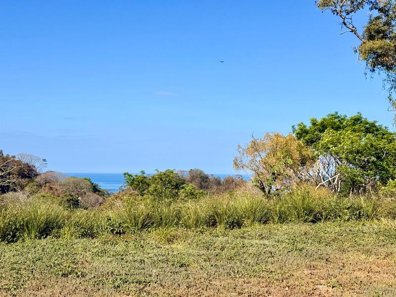 0 bed Land For Sale in Delicias, Puntarenas - hero 2