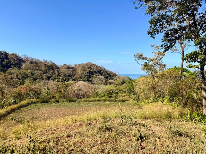 0 bed Land For Sale in Delicias, Puntarenas - hero 4