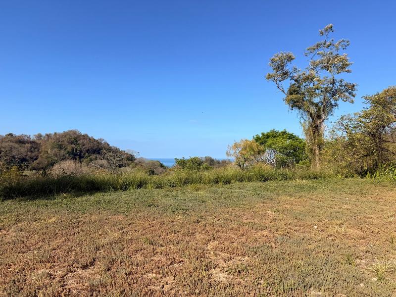 0 bed Land For Sale in Delicias, Puntarenas - hero 5
