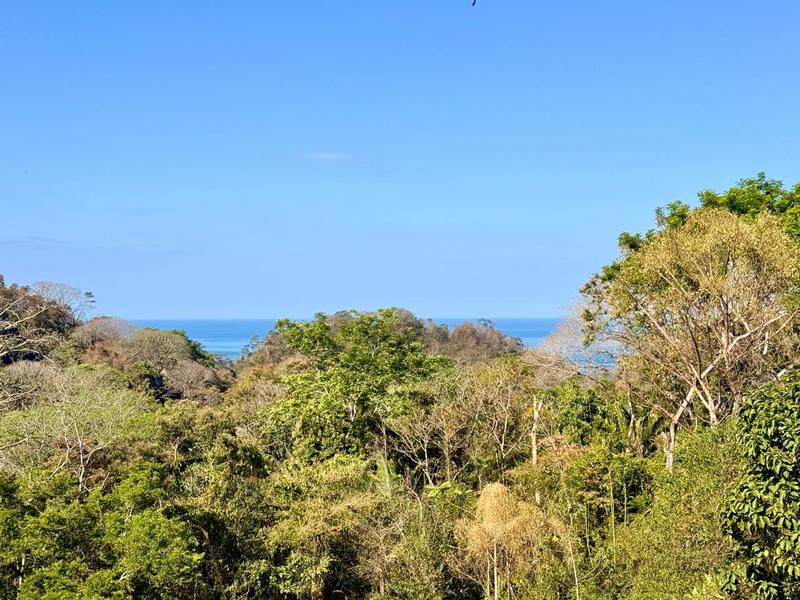 0 bed Land For Sale in Delicias, Puntarenas - 1