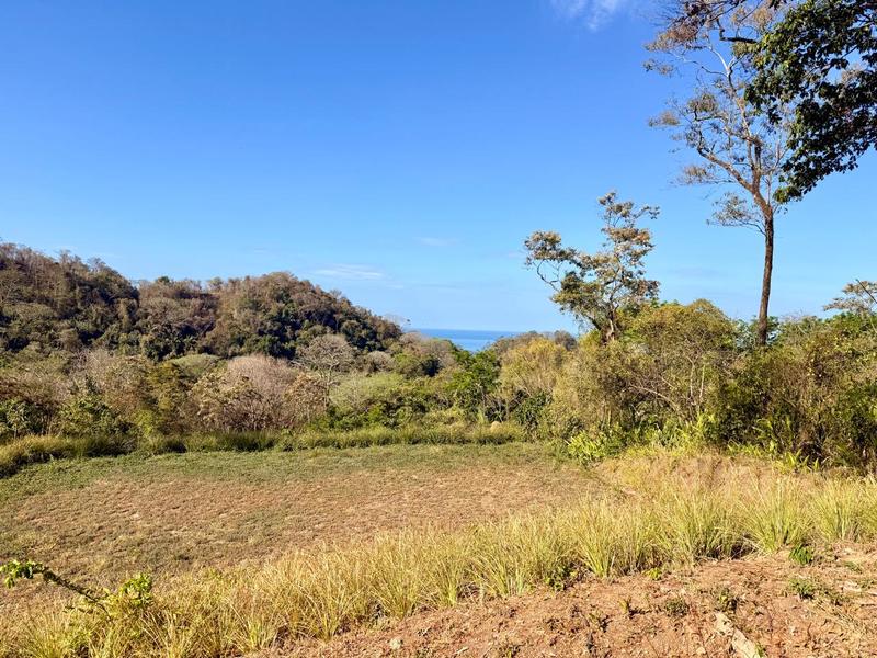 0 bed Land For Sale in Delicias, Puntarenas - hero 3