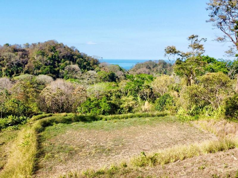0 bed Land For Sale in Delicias, Puntarenas - hero 8