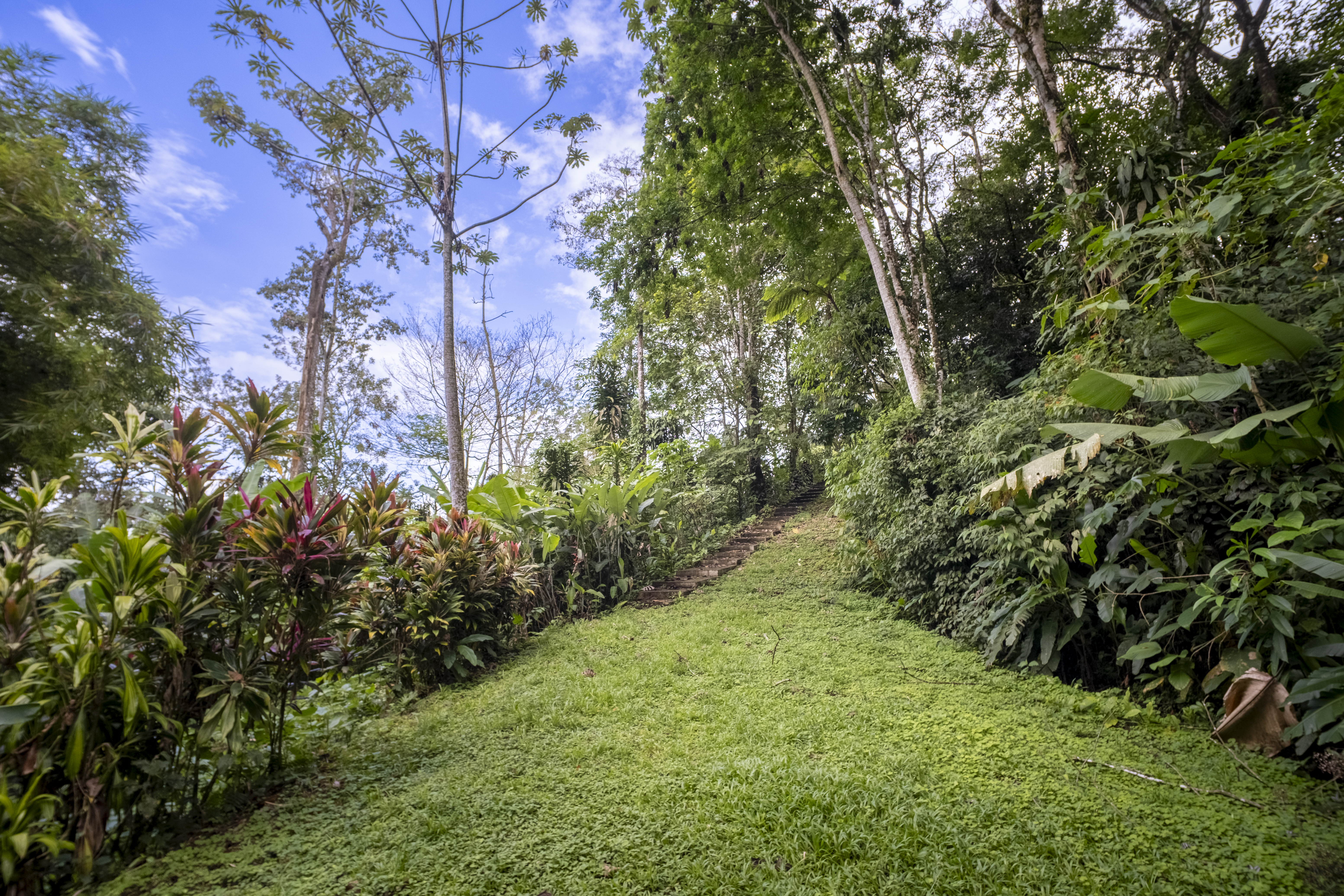 3 bed Single Family Homes For Sale in La Fortuna, Alajuela - thumb 27