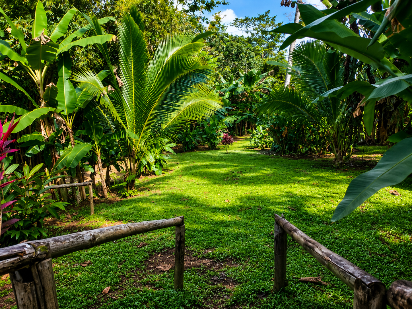 3 bed Single Family Homes For Sale in La Fortuna, Alajuela - thumb 28