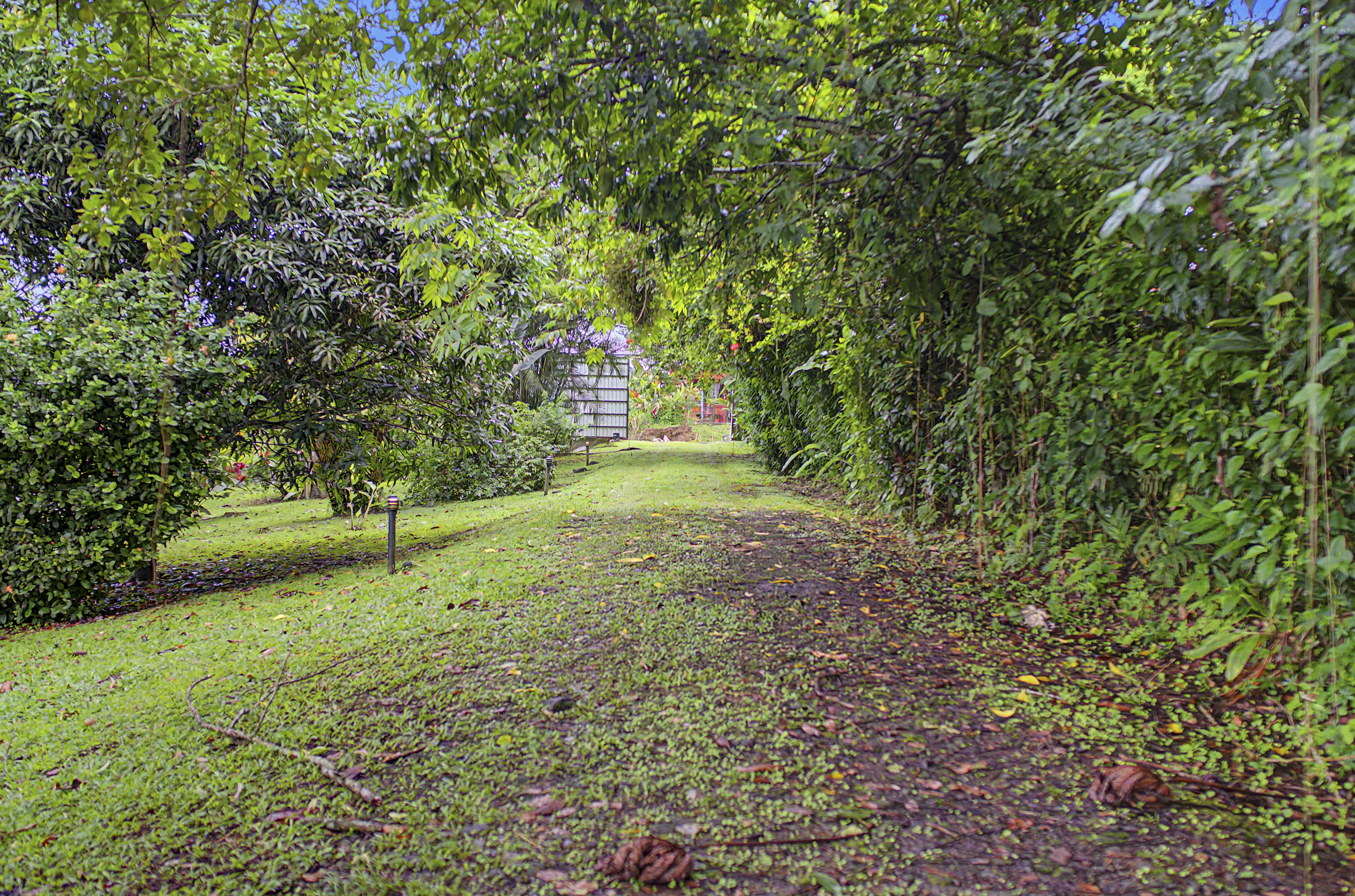 3 bed Single Family Homes For Sale in La Fortuna, Alajuela - thumb 25