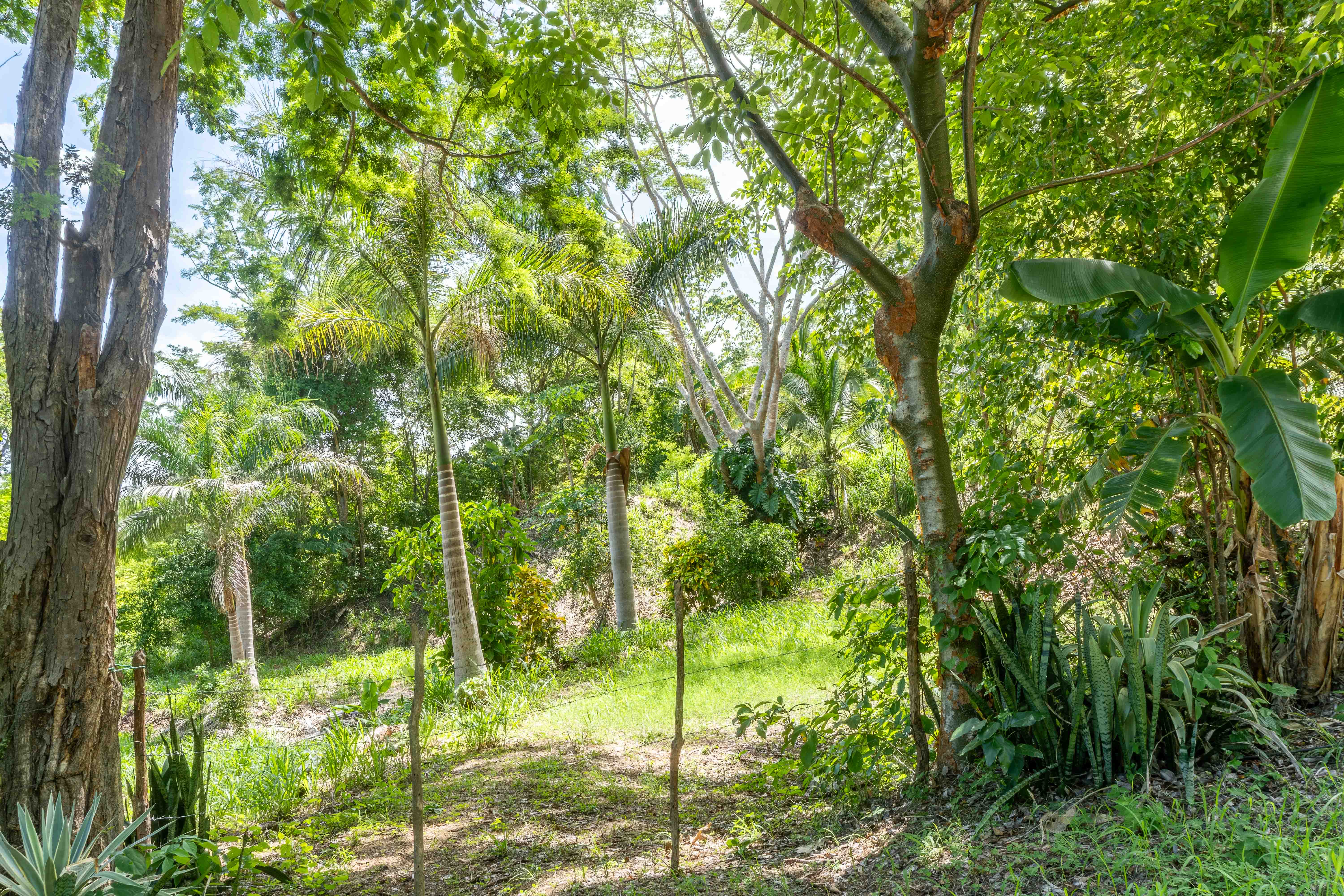 0 bed Land For Sale in Playa Camaronal, Guanacaste - thumb 11
