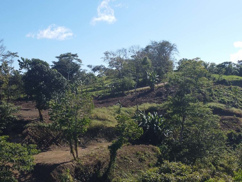 0 bed Land For Sale in Santiago, Puntarenas - hero 6