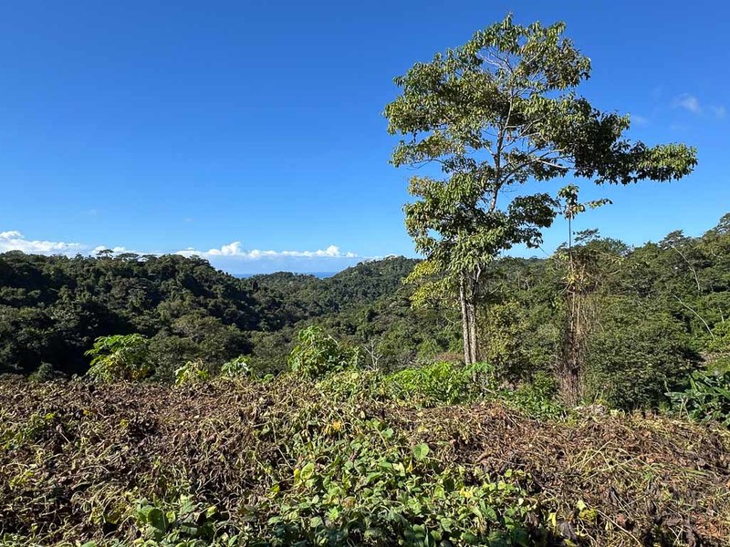 0 bed Land For Sale in Santiago, Puntarenas - hero 3