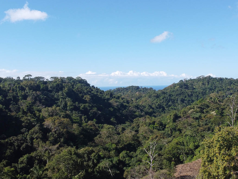 0 bed Land For Sale in Santiago, Puntarenas - 1