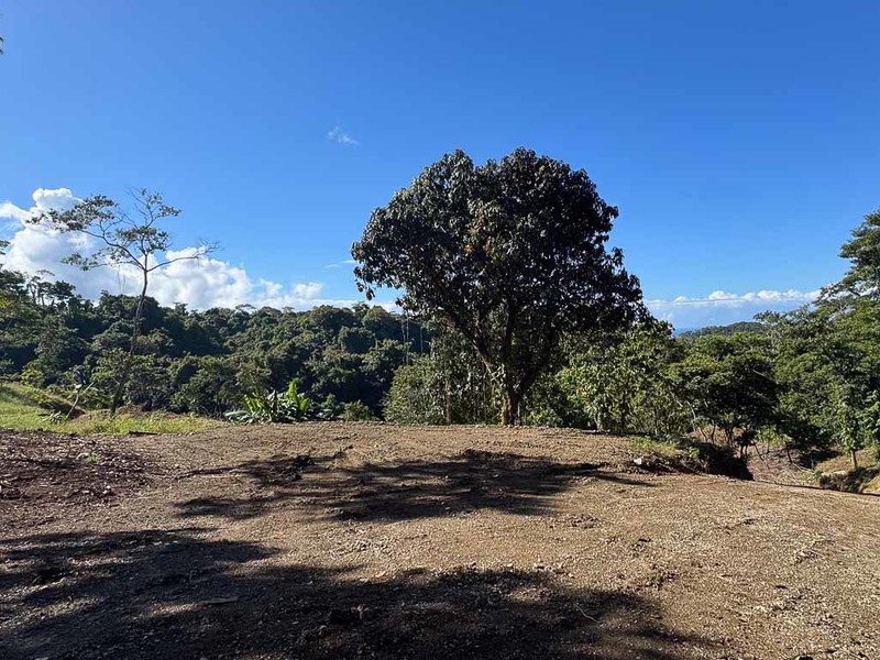 0 bed Land For Sale in Santiago, Puntarenas - hero 7