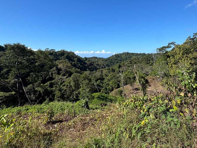 0 bed Land For Sale in Manzanillo, Puntarenas - hero 10