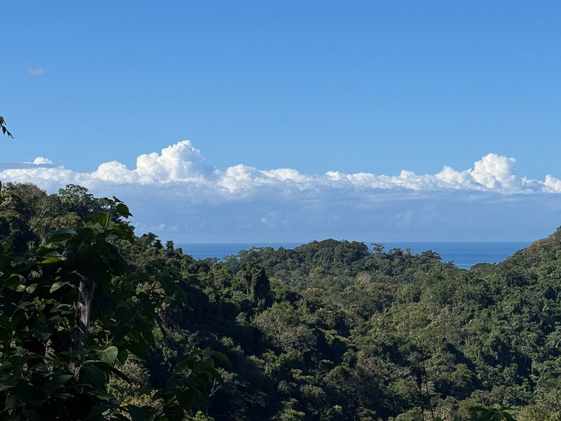 0 bed Land For Sale in Manzanillo, Puntarenas - hero 11