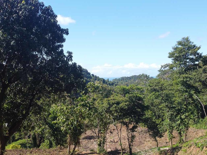 0 bed Land For Sale in Manzanillo, Puntarenas - hero 5