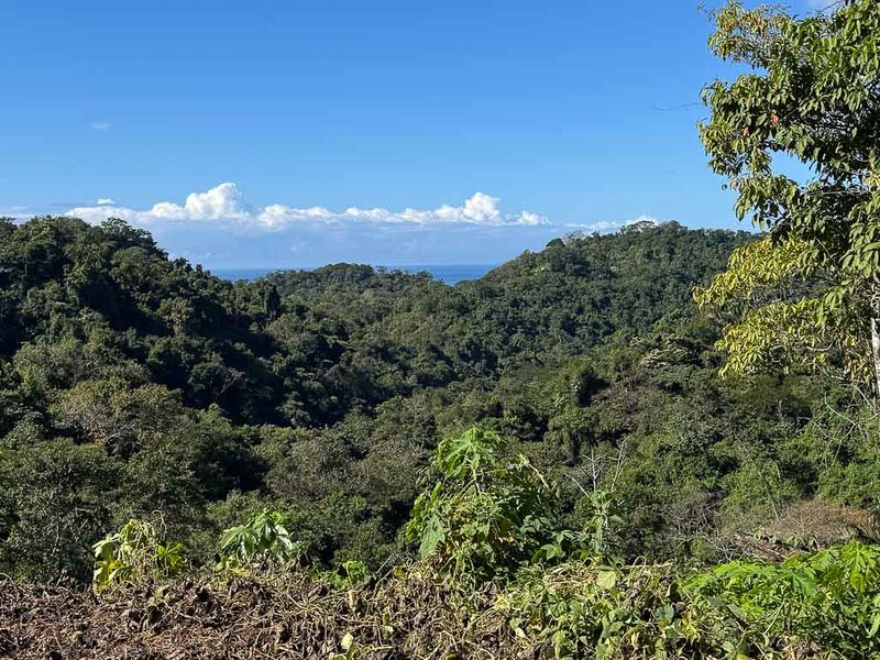 0 bed Land For Sale in Manzanillo, Puntarenas - hero 2