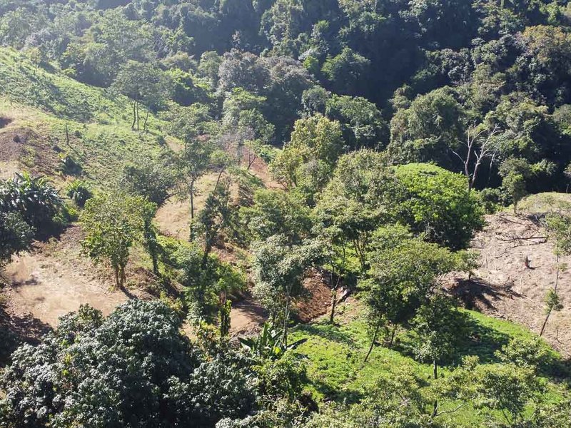 0 bed Land For Sale in Manzanillo, Puntarenas - hero 7