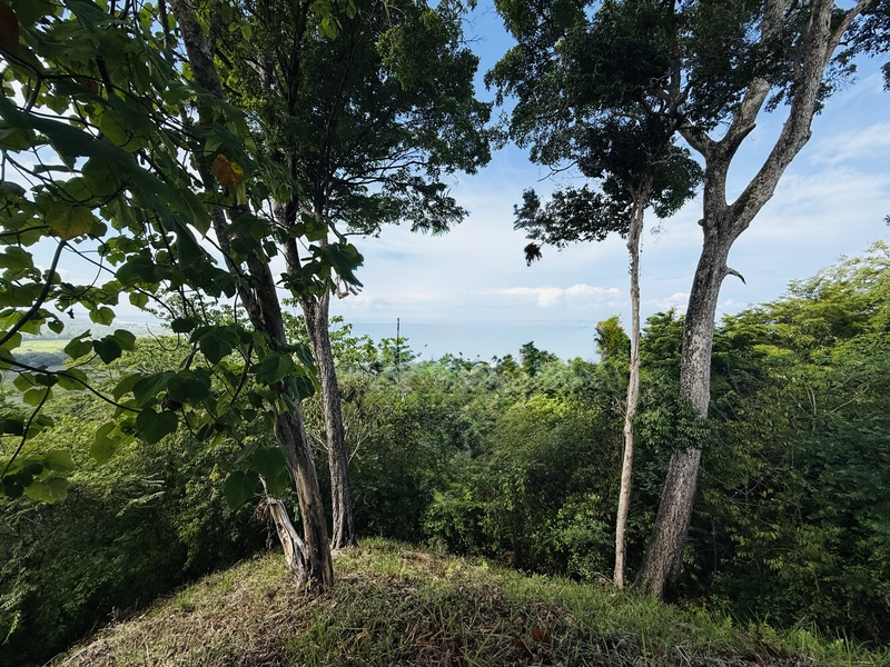 0 bed Land For Sale in Playa Hermosa, Puntarenas - 1