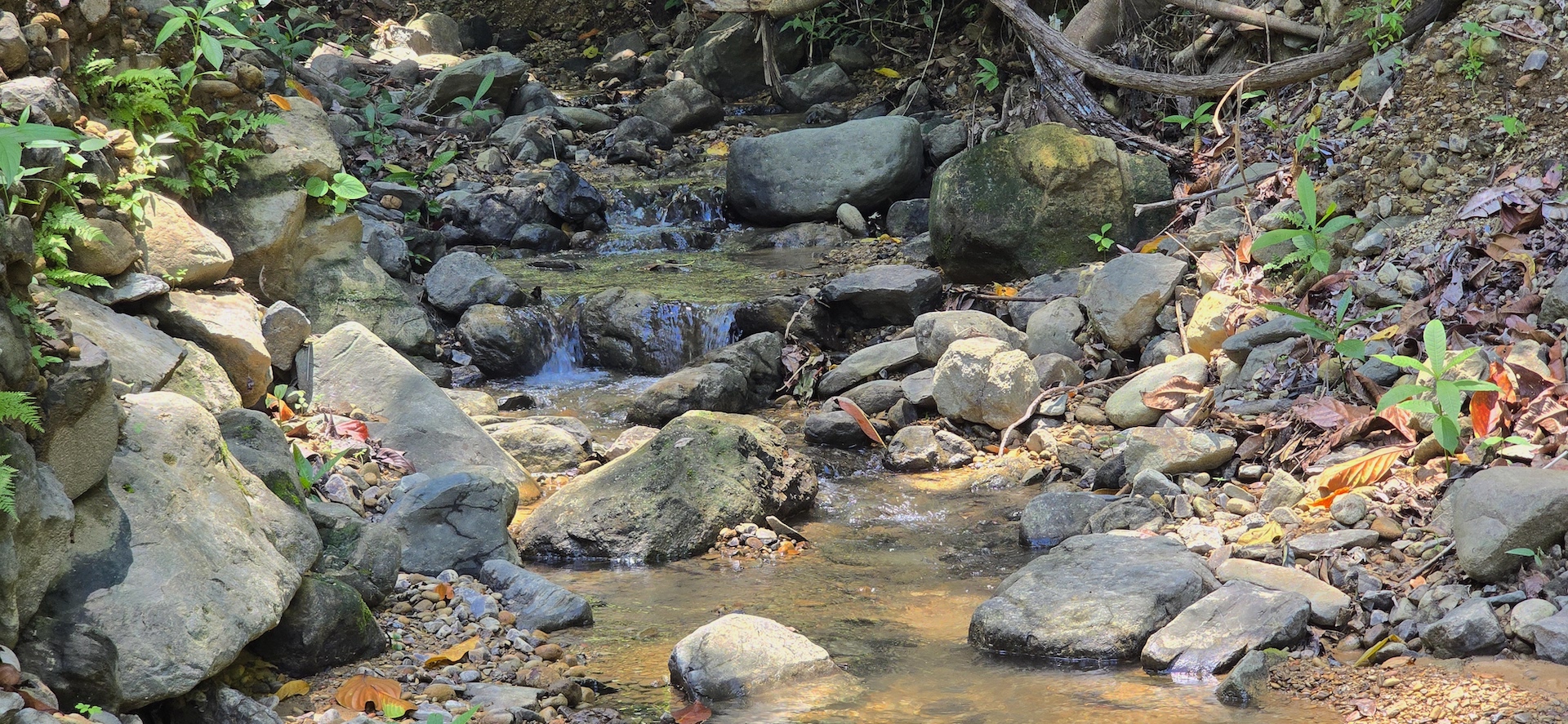 0 bed Land For Sale in Uvita, Puntarenas - thumb 17