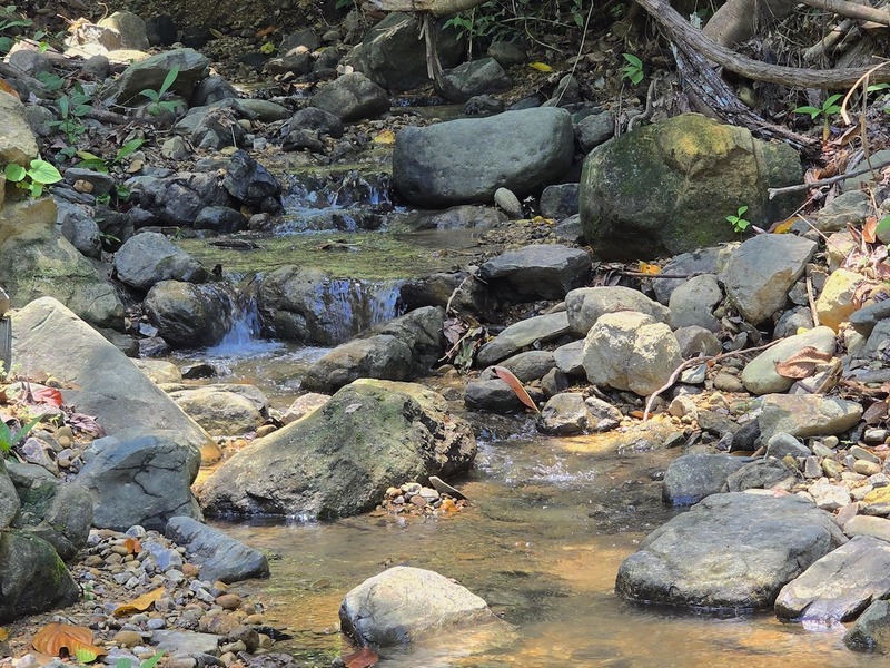 0 bed Land For Sale in Uvita, Puntarenas - hero 17