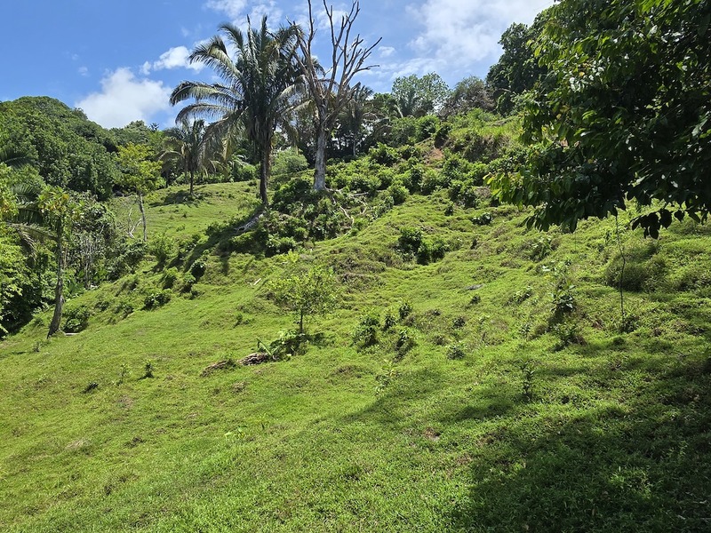 0 bed Land For Sale in Uvita, Puntarenas - hero 7