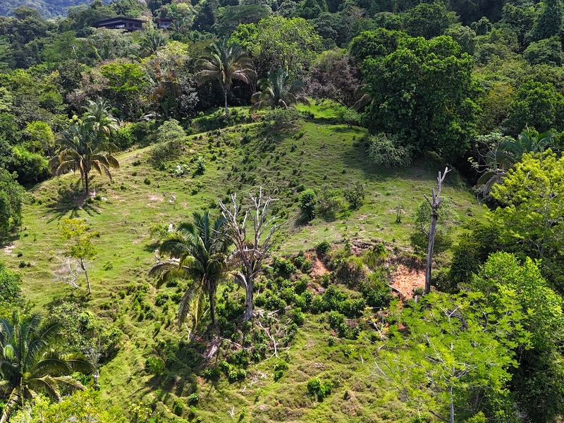 0 bed Land For Sale in Uvita, Puntarenas - hero 9