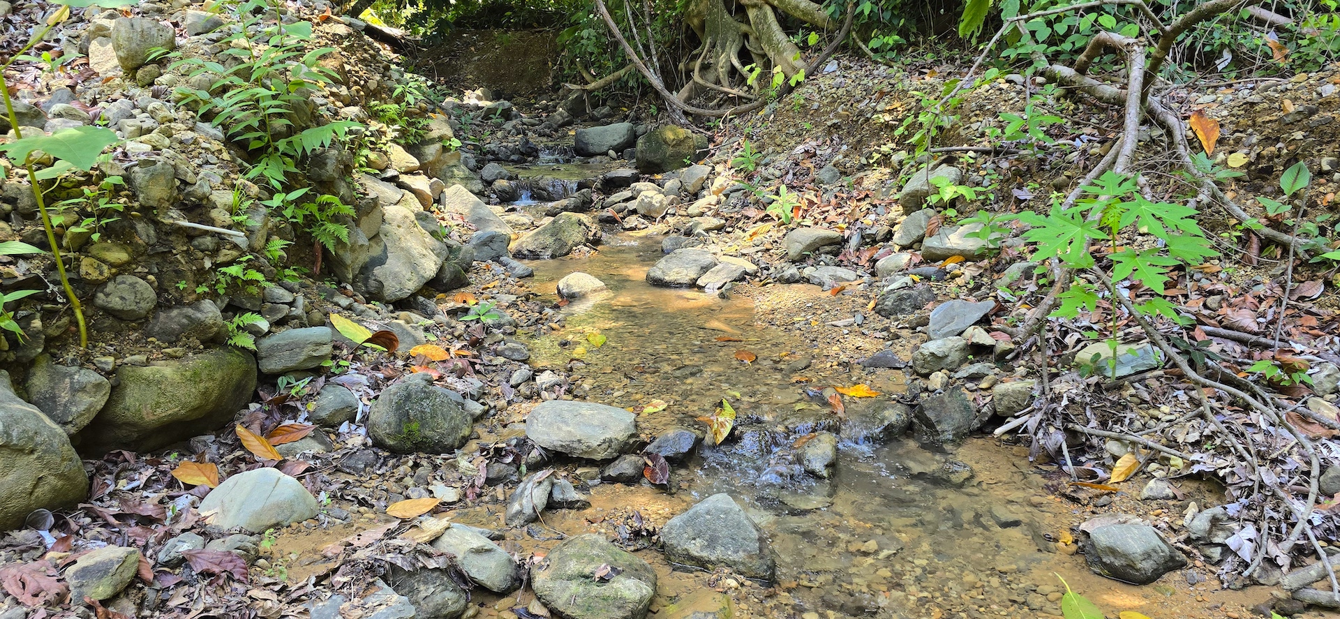0 bed Land For Sale in Uvita, Puntarenas - thumb 16